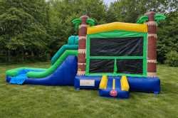 Palm Tree Combo Bounce House
